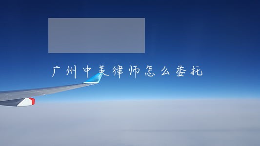 广州中美律师怎么委托 广州中美律师怎么委托