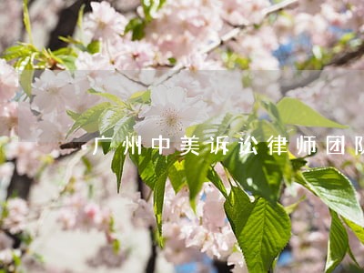 广州中美诉讼律师团队