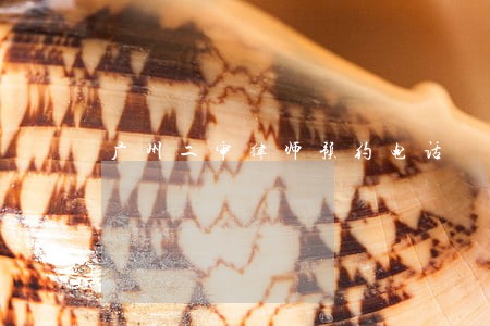 广州二审律师预约电话 广州二审律师预约电话
