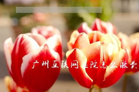 广州互联网法院怎么缴费 广州互联网法院怎么缴费