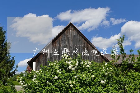 广州互联网法院收案 广州互联网法院收案