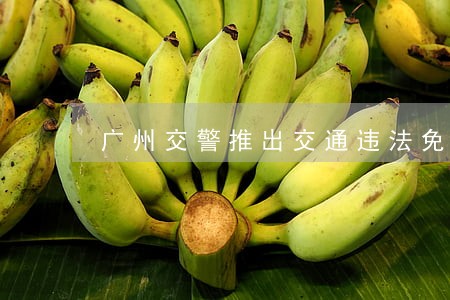 广州交警推出交通违法免分券 广州交警推出交通违法免分券