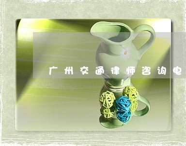 广州交通律师咨询电话 广州交通律师咨询电话
