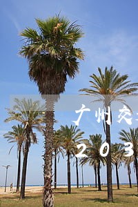 广州交通违法信息多久能查到/2023020391771 广州交通违法信息多久能查到/2023020391771