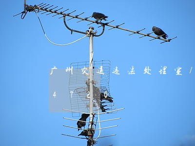 广州交通违法处理室/2023020274720 广州交通违法处理室/2023020274720