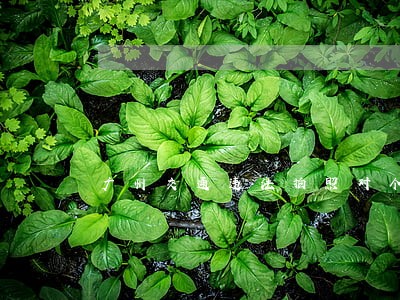 广州交通违法拍照对个人开放 广州交通违法拍照对个人开放