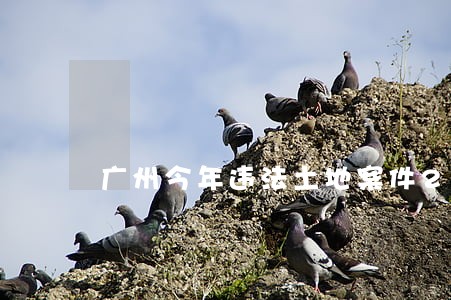 广州今年违法土地案件2264宗 广州今年违法土地案件2264宗