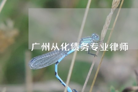 广州从化债务专业律师 广州从化债务专业律师