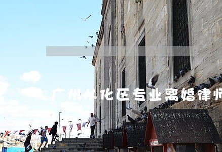 广州从化区专业离婚律师 广州从化区专业离婚律师
