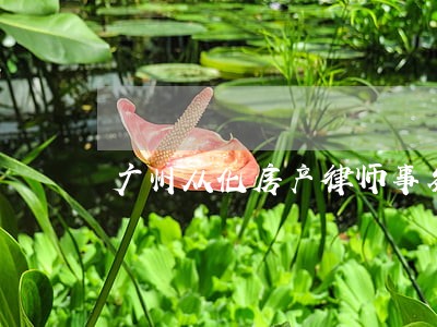 广州从化房产律师事务所 广州从化房产律师事务所