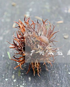 广州从化房地产律师咨询 广州从化房地产律师咨询