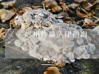 广州仲赢法律咨询 广州仲赢法律咨询
