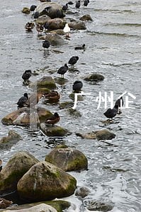 广州企业法律咨询公司 广州企业法律咨询公司