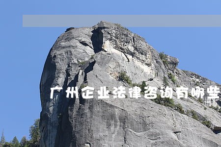 广州企业法律咨询有哪些 广州企业法律咨询有哪些