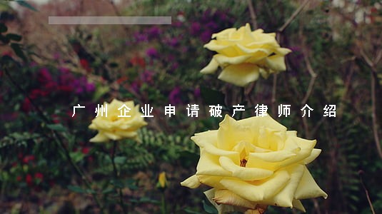 广州企业申请破产律师介绍 广州企业申请破产律师介绍