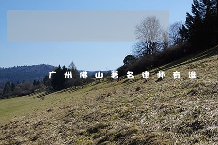 广州佛山著名律师有谁 广州佛山著名律师有谁