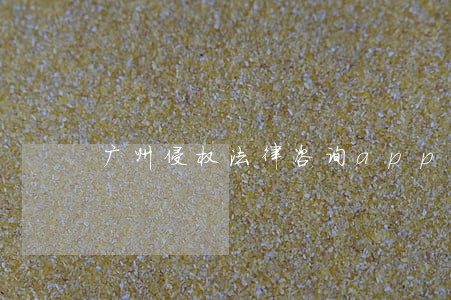 广州侵权法律咨询app 广州侵权法律咨询app