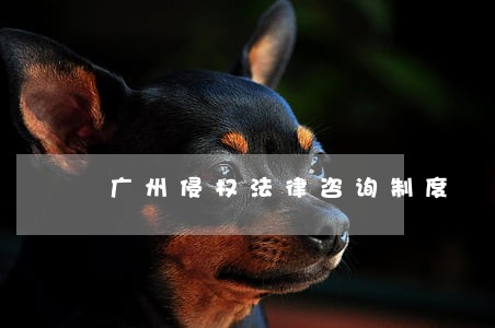 广州侵权法律咨询制度 广州侵权法律咨询制度