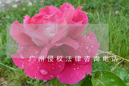 广州侵权法律咨询电话 广州侵权法律咨询电话