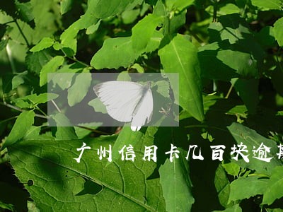 广州信用卡几百块逾期5天