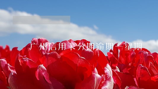 广州信用卡分期逾期一星期 广州信用卡分期逾期一星期
