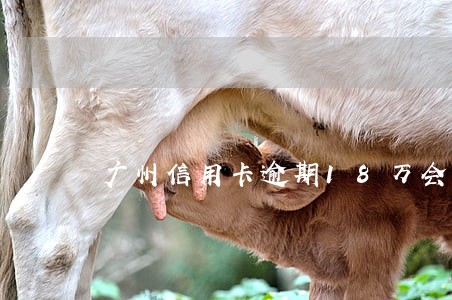 广州信用卡逾期18万会不会坐牢
