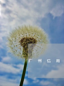 广州信用卡逾期2天 广州信用卡逾期2天