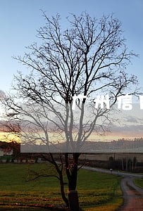 广州信用卡逾期4天 广州信用卡逾期4天
