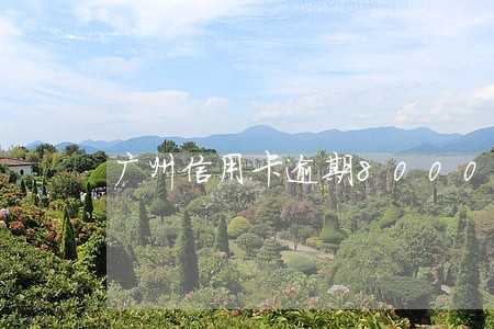 广州信用卡逾期8000元的后果 广州信用卡逾期8000元的后果