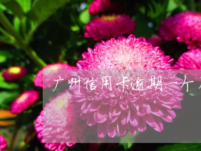 广州信用卡逾期一个月会怎么样 广州信用卡逾期一个月会怎么样