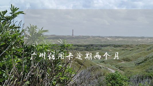 广州信用卡逾期两个月