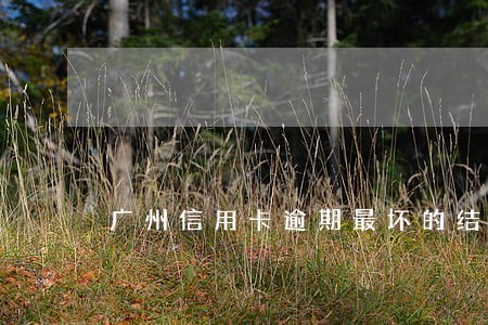 广州信用卡逾期最坏的结果是什么 广州信用卡逾期最坏的结果是什么