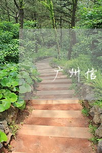 广州信贷逾期6期 广州信贷逾期6期