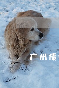 广州债务专业律师在线咨询 广州债务专业律师在线咨询