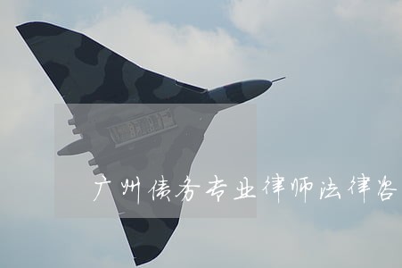 广州债务专业律师法律咨询 广州债务专业律师法律咨询
