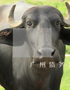 广州债务合同律师事务所 广州债务合同律师事务所