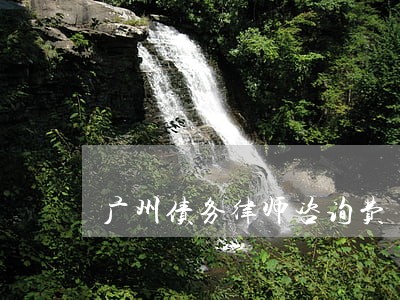 广州债务律师咨询费 广州债务律师咨询费