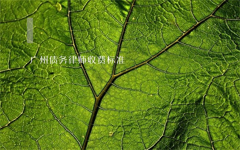 广州债务律师收费标准 广州债务律师收费标准