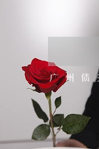 广州债务案子律师免费咨询 广州债务案子律师免费咨询