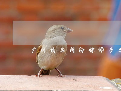 广州债务纠纷律师多少 广州债务纠纷律师多少