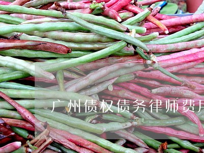 广州债权债务律师费用咨询 广州债权债务律师费用咨询