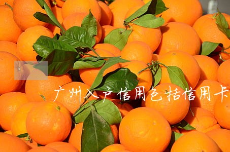广州入户信用包括信用卡逾期