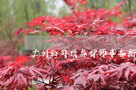 广州公司债务律师事务所 广州公司债务律师事务所