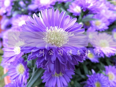 广州公司债务律师哪里找 广州公司债务律师哪里找