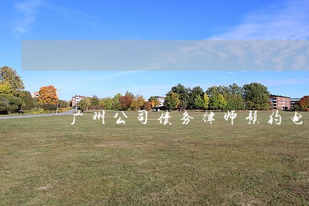 广州公司债务律师预约电话 广州公司债务律师预约电话