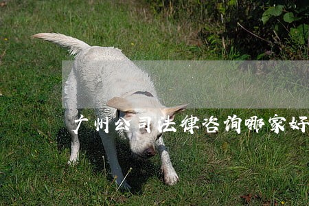 广州公司法律咨询哪家好 广州公司法律咨询哪家好