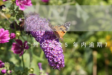 广州公积金5年内逾期7次 广州公积金5年内逾期7次