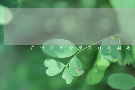 广州公积金贷款转逾期还款 广州公积金贷款转逾期还款