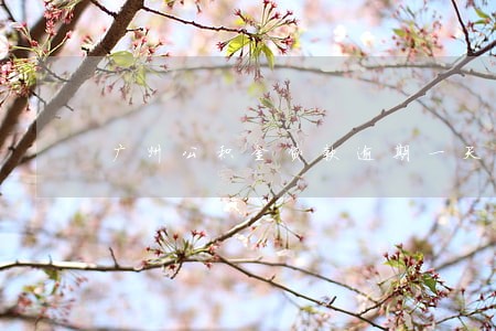 广州公积金贷款逾期一天咋办