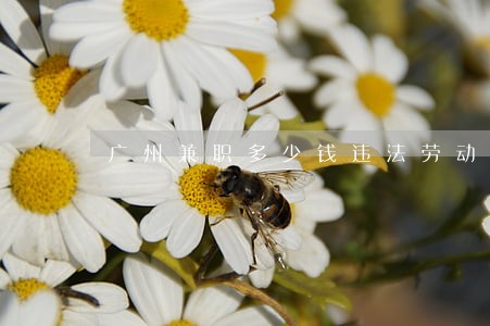 广州兼职多少钱违法劳动合同 广州兼职多少钱违法劳动合同